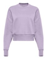 Women's Heavyweight Crewneck Sweatshirt - Image 12