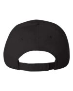 Econ Cap - Image 3