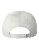 Econ Cap - Image 14