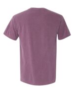 Comfort Colors 1717 Unisex Garment-Dyed Heavyweight T-Shirt - Image 5