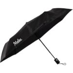 42" Weather Station Auto Super Mini
