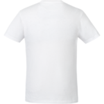 tentree Organic Cotton Short Sleeve Tee - Men's