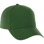 Unisex DOMINATE Ballcap