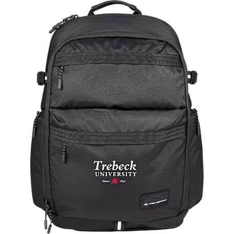 High Sierra Daily Pro Backpack
