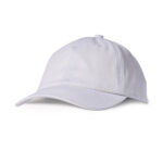 Apparel Caps AH100-G01
