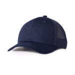 Apparel Caps AH250-G01