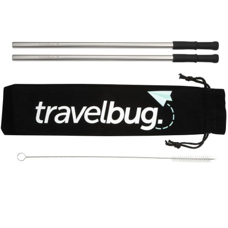 Reusable Stainless steel Straw Set with Brush