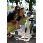 PawFlex Retractable Pet Leash