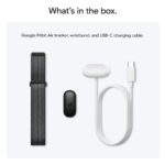 Google Fitbit Air