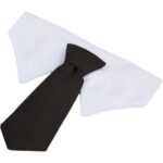 Paws & Claws Pet Neck Tie Collar