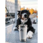 Stanley Stay-Chill Stacking Pint 16oz