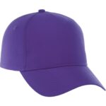 Unisex DOMINATE Ballcap