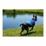 Paws & Claws Reflective Pet Vest (Medium)
