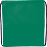 Evergreen Non-Woven Drawstring Bag