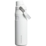 Stanley IceFlow™ Bottle with Fast Flow Lid 24oz.