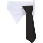 Paws & Claws Pet Neck Tie Collar