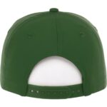 Unisex DOMINATE Ballcap