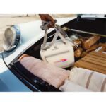 Stanley Julienne Mini 10 Can Cooler