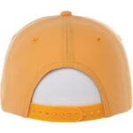 Unisex DOMINATE Ballcap