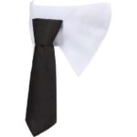 Paws & Claws Pet Neck Tie Collar