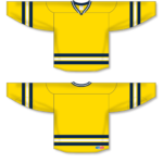 Pro Hockey Jerseys H550B-MIC-G02