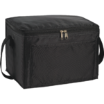 Spectrum Budget 6-Can Lunch Cooler