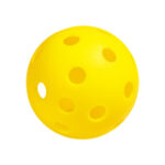 Onix Recruit Beginner Pickleball Set